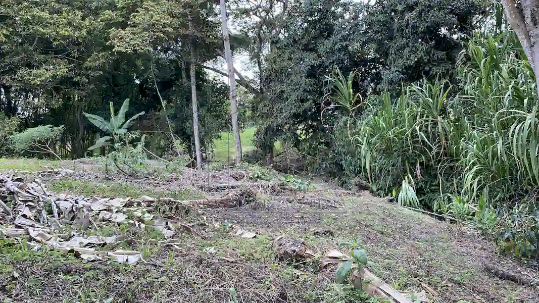 Lote Parcelacion Agua Dulce